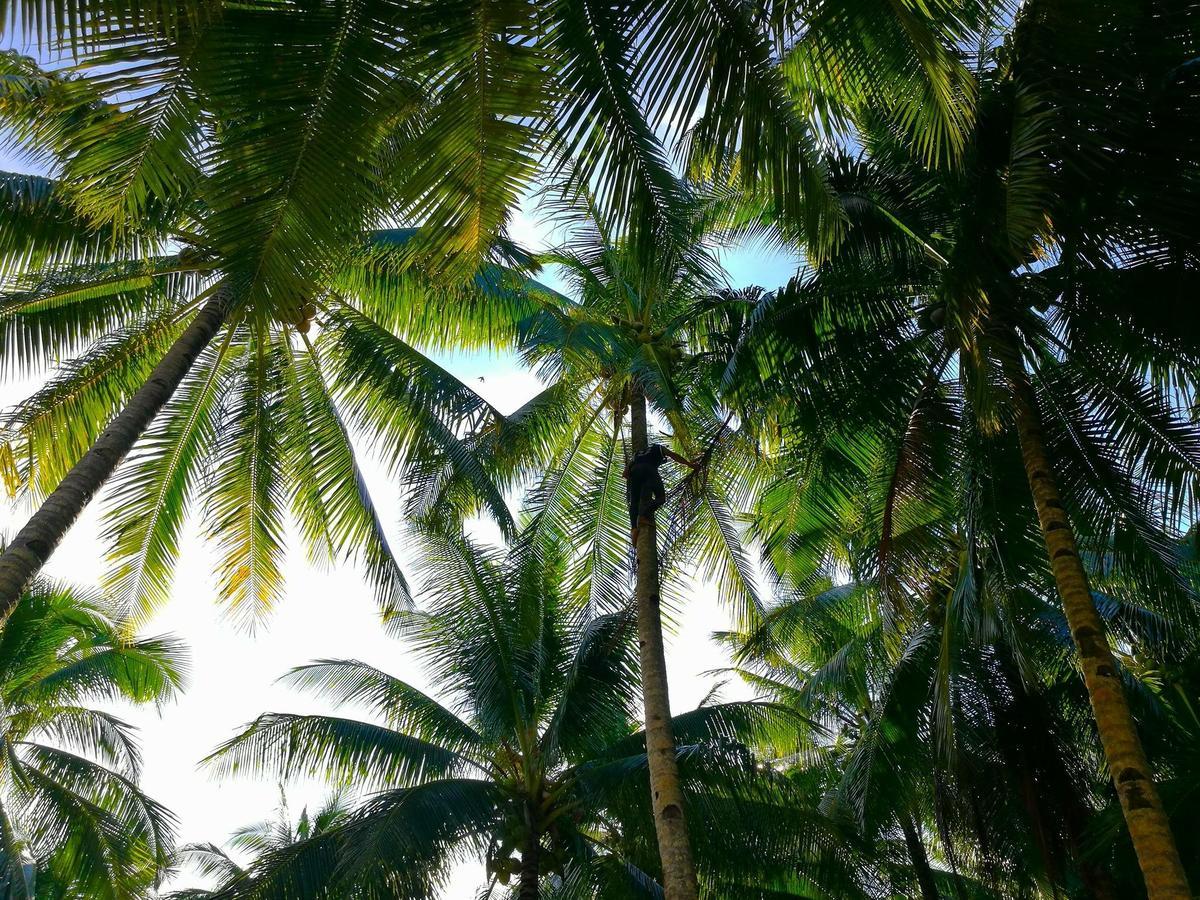 Union Siargao Residency公寓 外观 照片