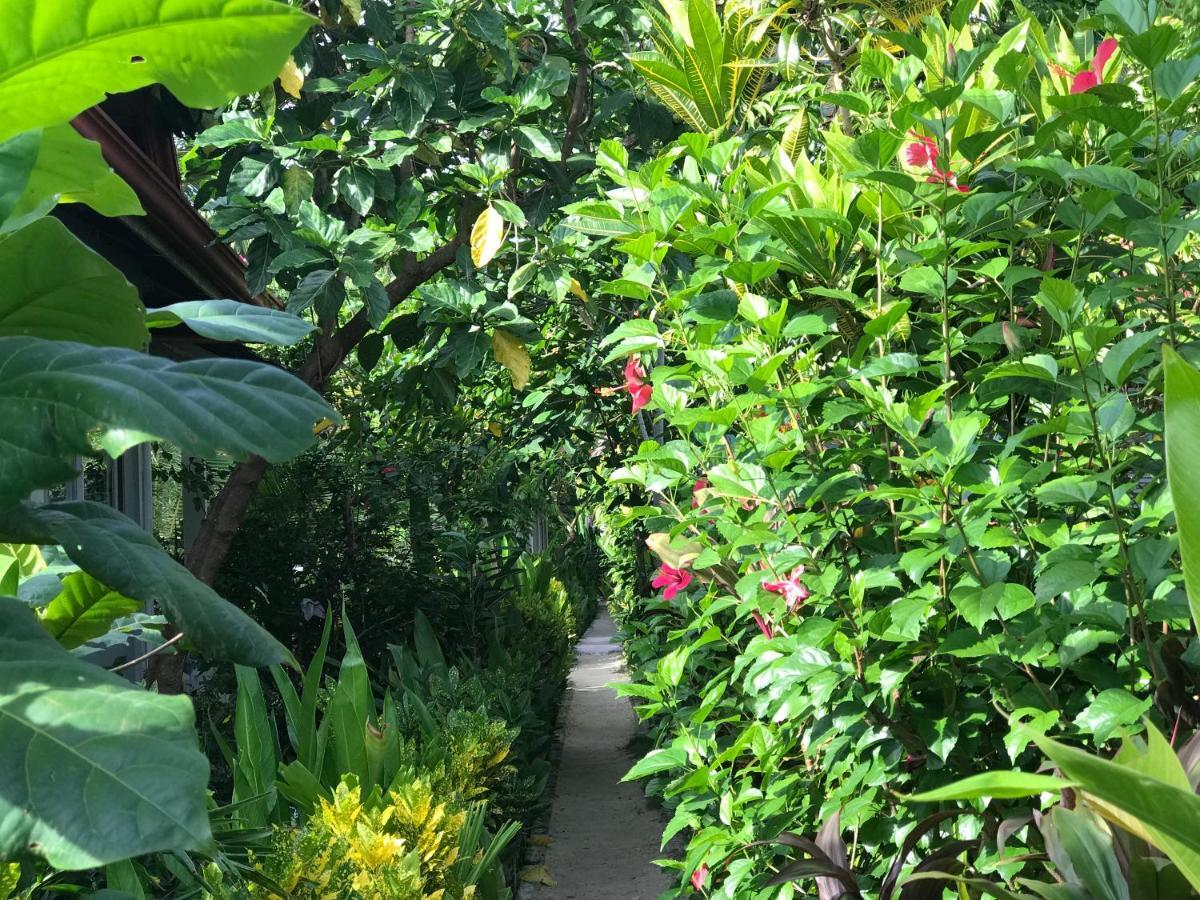 Union Siargao Residency公寓 外观 照片